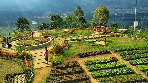 7 Wisata Alam Pas buat Mahasiswa Berakhir Pekan di Malang Raya, 1. Bumper Bedengan, 2. Bukit Kuneer, 3. Budug Asu, 4. Bukit Nirwana, 5. Gunung Bokong, 6. Gunung Pundak, 7. Brakseng