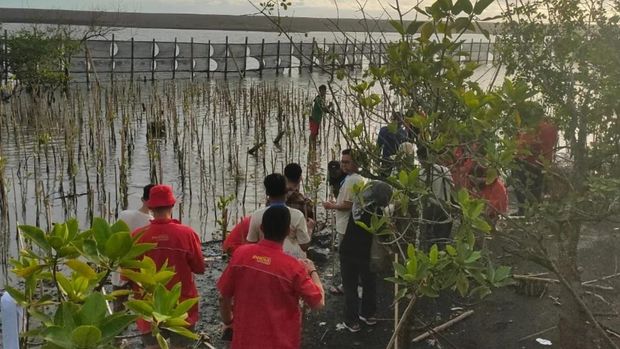 Array,Ketika Innova Zenix Hybrid Diadu Irit, Ini Hasilnya