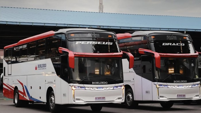 Array,PO Borlindo Rilis Bus Anyar, Ada 2 Kursi Spesial di Bagian Depan