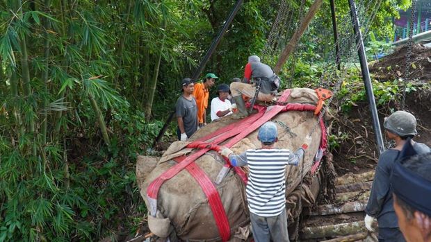Fakta-Fakta Prasasti Muara Cianten, Tinggalan Kerajaan Tarumanegara, di Bogor, 1. Ditemukan Sejak Era Kolonial Belanda, 2. Peninggalan Kerajaan Tarumanegara, 3. Belum Bisa Ditafsirkan dan Menyimpan Misteri Sejarah, 4. Berada di Lokasi Asli Saat Ditemukan, 5. Rentan Rusak Karena Banjir dan Erosi