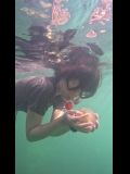 Array,Begini Rasanya Berenang di Antara Jutaan Ubur-ubur Tak Menyengat