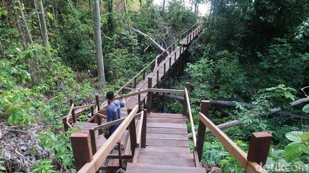 Array,Liburan ke Maratua, Kunjungi Hidden Gem Gua Gumantung