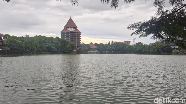 Array,Danau Kenanga UI, Spot Bengong Pagi dan Sore Hari