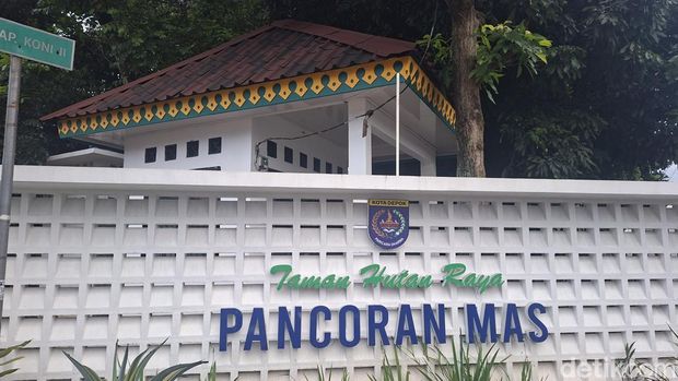 Array,Menanti Revitalisasi Tahura Pancoran Mas, Depok: Punya Jogging Track-Wisata Edukasi