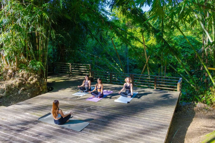Array,Wellness Tourism Ubah Bali Jadi Ruang Hidup Seimbang