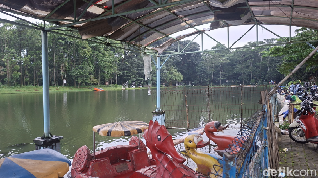 Array,Wisata Murah Meriah di Depok, Keliling Situ Jatijajar Naik Perahu Bebek Rp 20.000