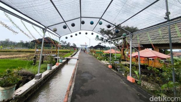 Syahdunya Sawah Lope Desa Cikaso, Spot Terbaik Buat Botram Bareng Keluarga, 1. Sejuk Meski di Dataran Rendah, 2. Arti Nama "Lope" yang Tak Disangka, 3. Simbol Kebangkitan Pasca-Pandemi, 4. Magnet Viral di Jantung Kuningan, 5. Kemandirian Mutlak Tanpa Investor Luar, 6. Keunggulan lain