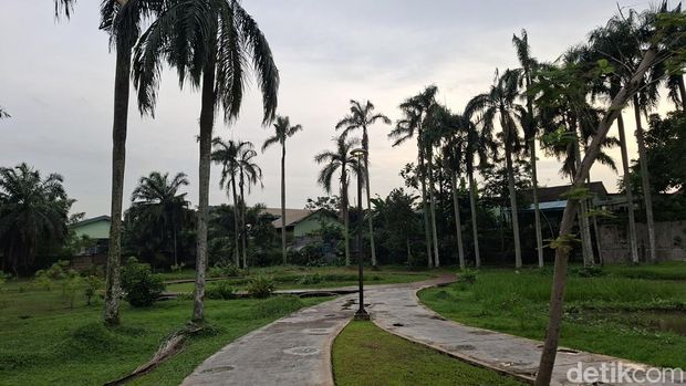 Array,Taman Salak Kuning: Transformasi Sebuah Rawa Menjadi 'Bukit Teletubbies'