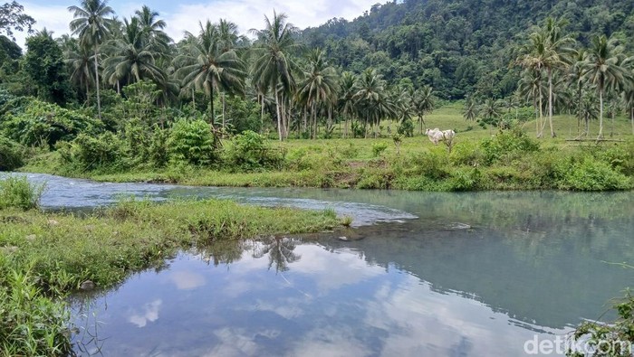Array,Swiss Van Indonesia! Pesona Sungai Binuanga yang Airnya Biru Jernih