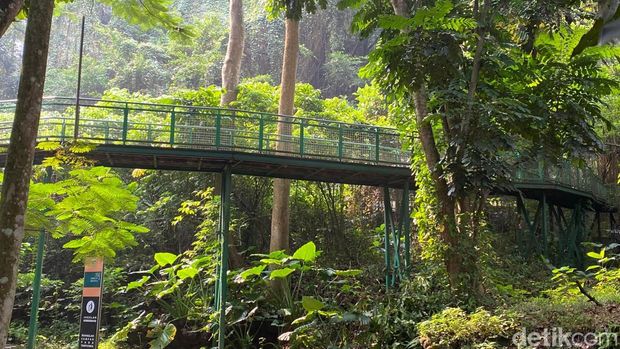 Array,Hutan Kota Babakan Sliwangi, Kawasan Tenang nan Hijau di Tengah Kota Bandung