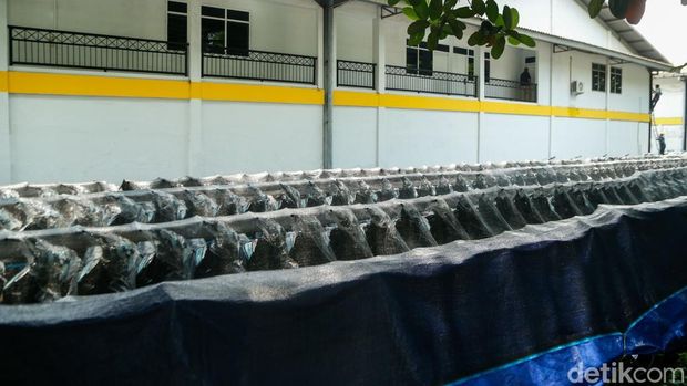 Array,Dadan soal Motor MBG: Dulu Klaim di Bawah Harga, Ternyata Di-markup