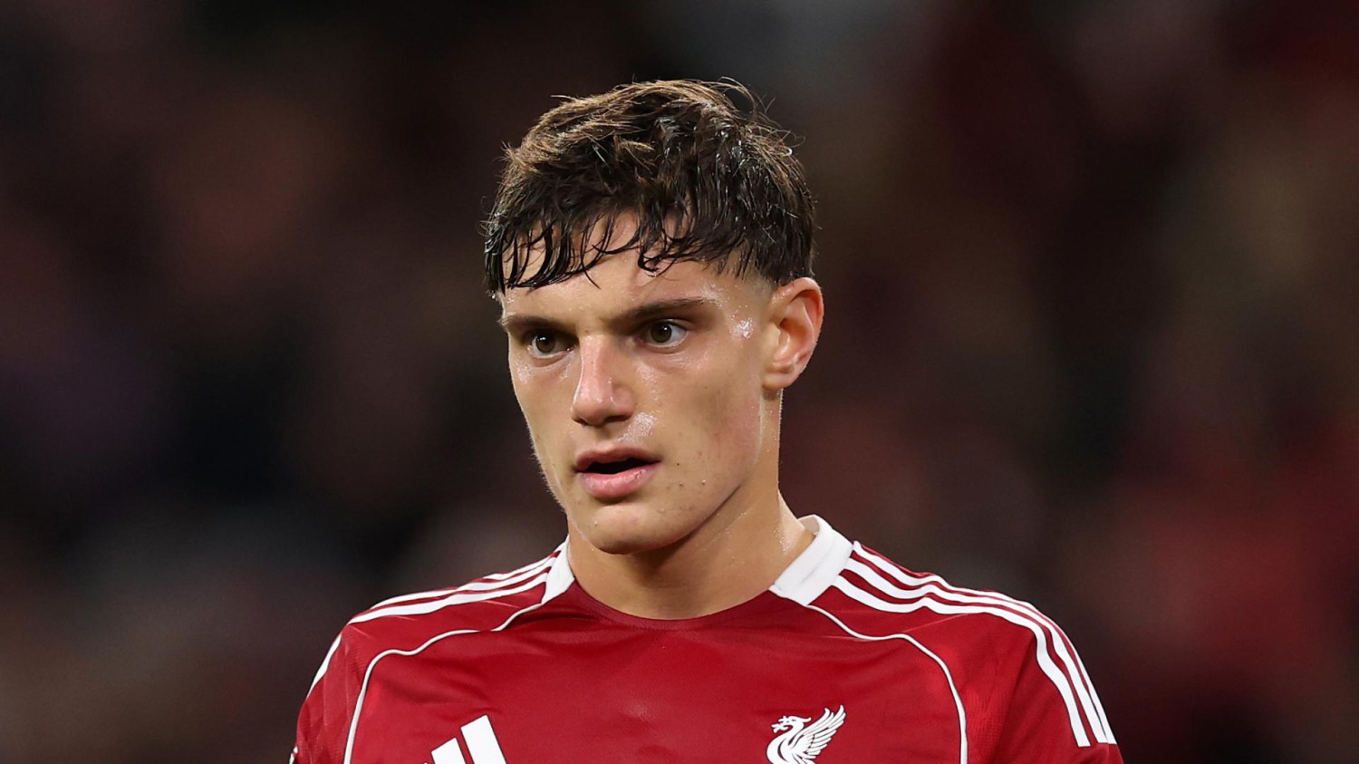 Giovanni Leoni cedera ACL saat Liverpool menang lawan Southampton