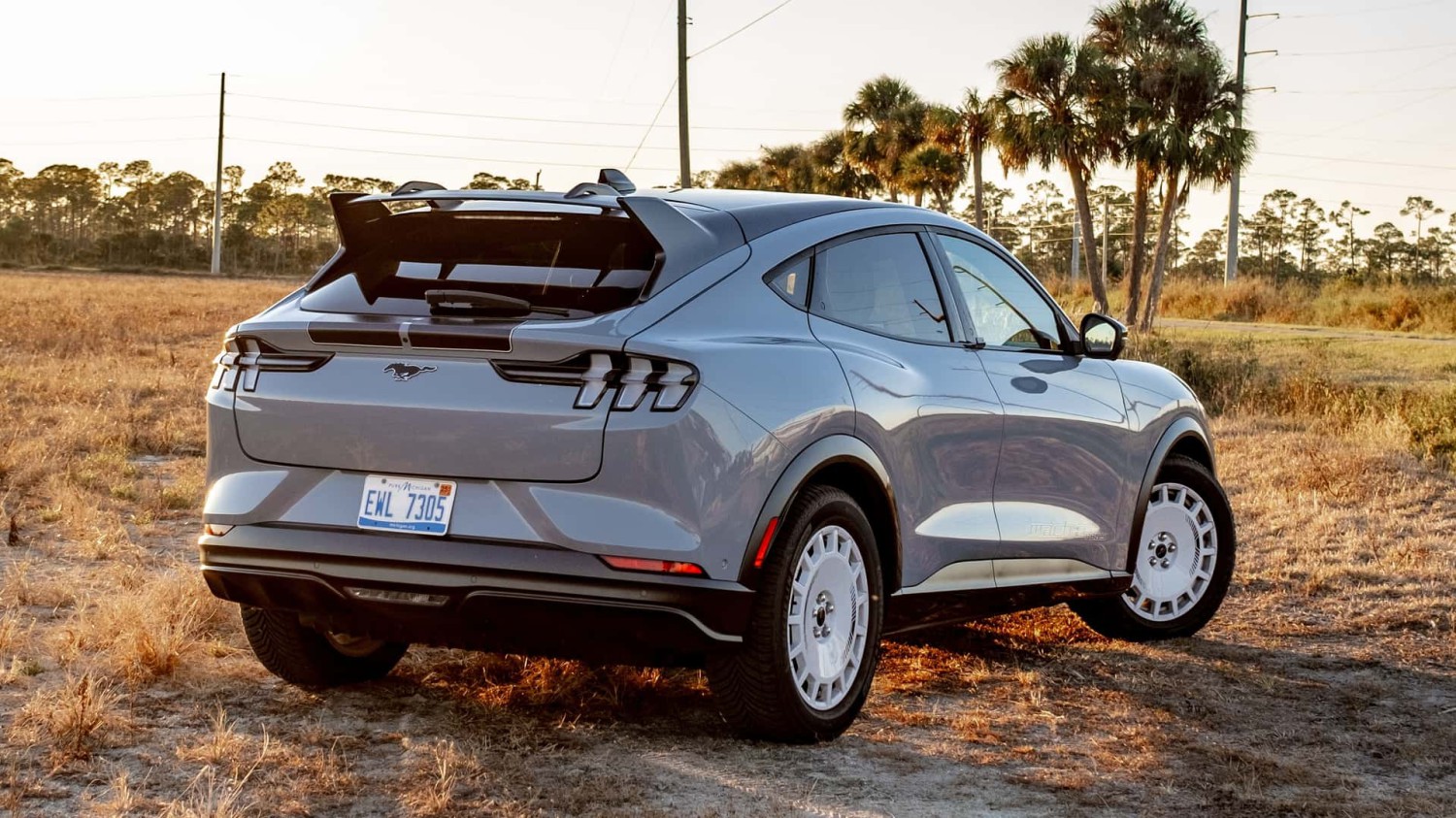 Ulasan Ford Mustang Mach-E Rally 2024