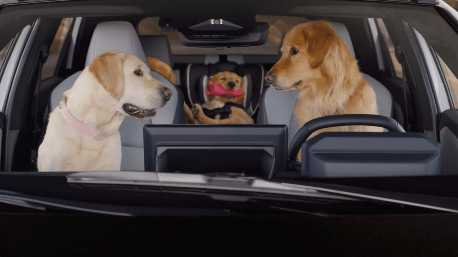 Iklan Anjing Subaru