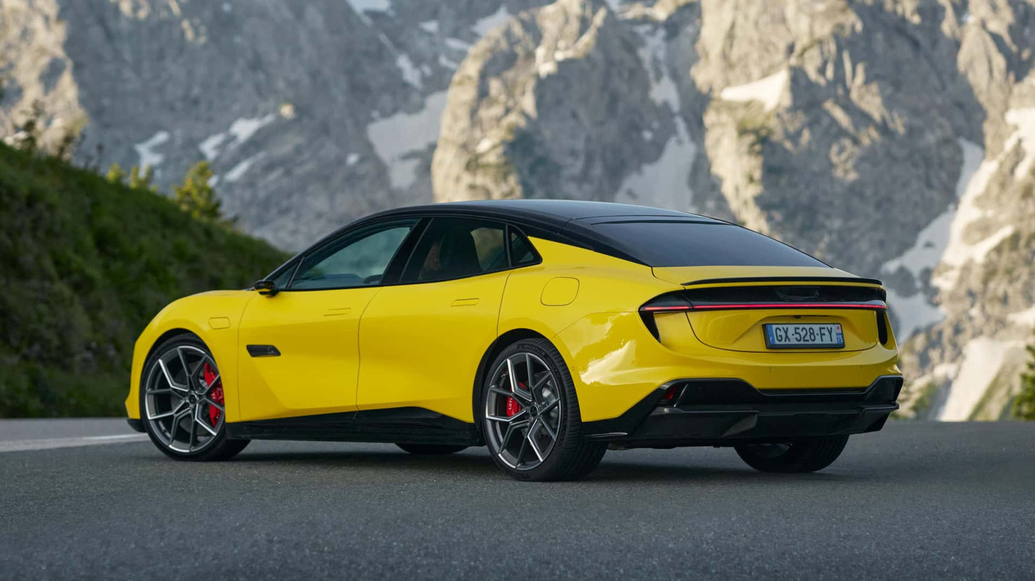 <p>Lotus Emeya</p>