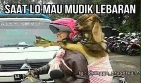 5 Meme Mudik yang Bikin Ketawa Getir: Realita Perjuangan Balik Kampung, Bawa Mantan? Siap-Siap Tegang!, Oke, Pulang Bawa Pengalaman, Beda Tipis Sama Pindahan, Punya Hewan, Pusing Sendiri, Kalau Ini Sih Hebat Banget