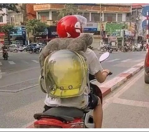 Perilaku Kucing Naik Motor, Ekspresinya Bikin Geleng Kepala dan Tersenyum Kecut., Kucing ini benar-benar tenang., Ingat selalu pakai helm dan kacamata untuk keselamatan., Padahal sudah disediakan tas khusus., Banyak pengendara pasti salah fokus melihat tingkahnya., Gayanya stylish untuk jalan-jalan naik motor., Helm memang kebesaran, tapi tetap aman dipakai., Ekspresinya tampak tegang saat motor melaju.