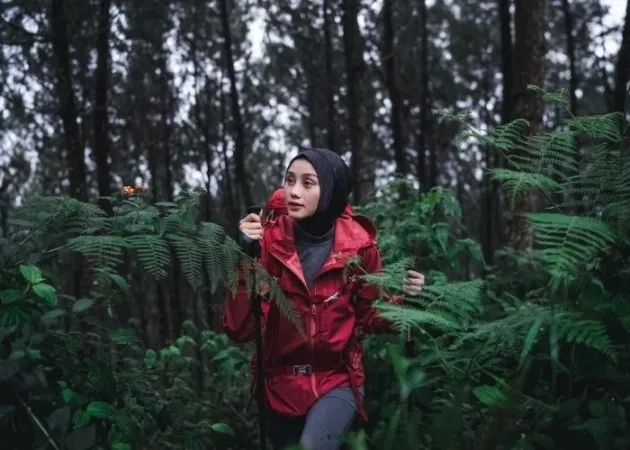 Pakaian Lapisan/Dalaman, Jaket Gunung, Sweater atau Fleece, Legging dan Parka, Celana Training dan Kaos, Kaos atau Kemeja Flanel , Celana Kargo, Sepatu Gunung, Buff, Syal, dan Beanie, Kacamata dan Topi