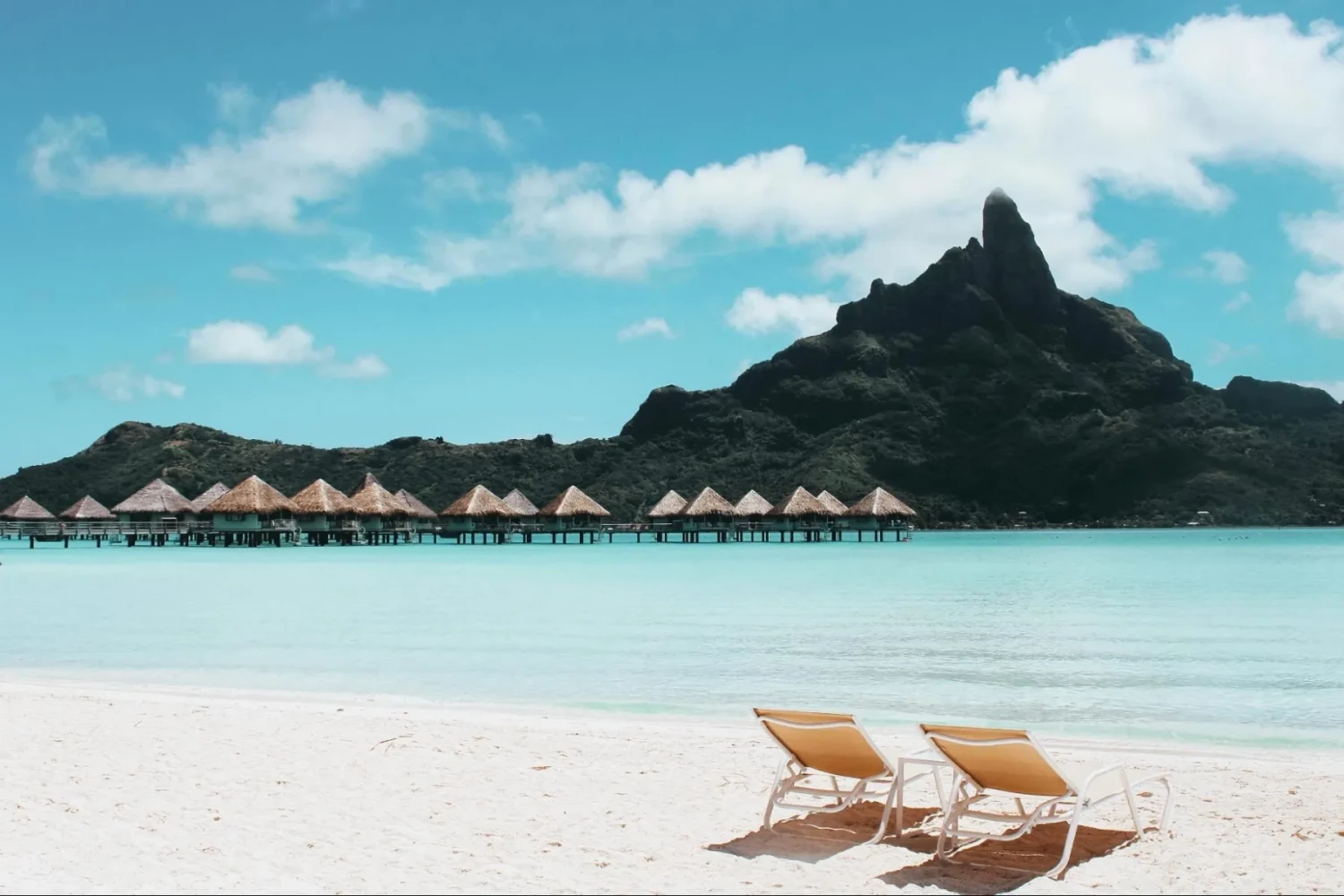 Berlibur ke Destinasi Musim Dingin, Staycation di Dalam Negeri, Backpackeran, Bermain di Waterboom, Menikmati Suasana Pantai, Menonton Konser, Piknik di Taman, Wisata Budaya dan Sejarah, Menyantap Hidangan Musim Dingin, Merayakan dengan Keluarga dan Teman