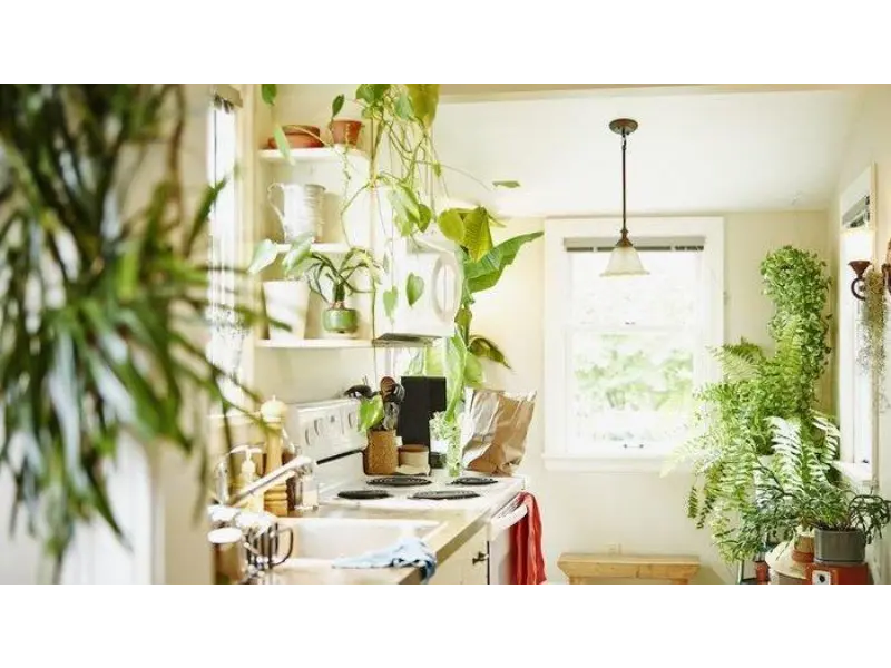 desain dapur minimalis