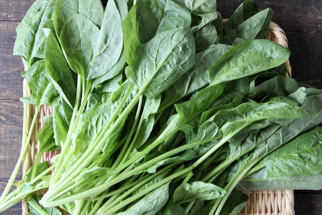 ほうれん草の苦みやえぐみを抑えて偏食を克服！, 「ほうれん草入りさつまいもマッシュポテト」のレシピ, ほうれん草の繊維をやわらげて偏食を克服！, ほうれん草入りカニカマ卵, ほうれん草の偏食を克服するための工夫
