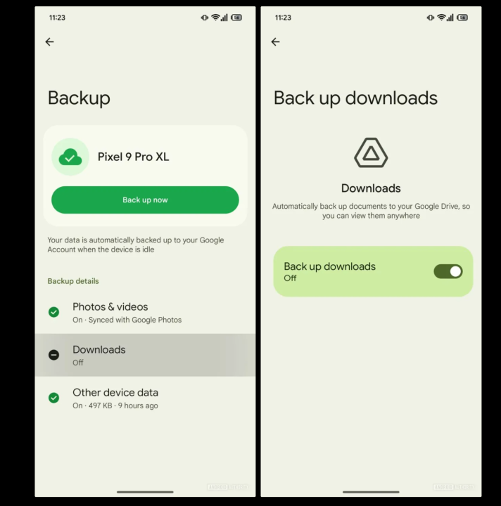 Backup folder download