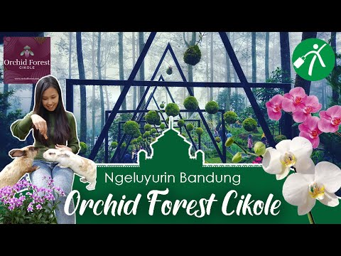 YouTube video, 1. Floating Market Lembang, 2. Kota Mini, 3. Farm House Susu Lembang, 4. Orchid Forest Cikole, 5. Gunung Tangkuban Perahu, 6. The Great Asia Africa, 7. De Ranch, 8. Taman Begonia, 9. Lembang Park &amp; Zoo, 10. The Lodge Maribaya, 11. Terminal Wisata Grafika Cikole, 12. Kawasan Wisata Punclut, 13. Fairy Garden, 14. Amazing Art World, 15. Curug Maribaya, 16. Pal 16 Cikole Lembang, 17. Rainbow Garden Bandung, 18. Curug Cipanas, 19. Lembang Wonderland, 20. Jendela Alam, 21. Taman Lembah Dewata, 22. Gunung Putri Lembang, 23. Puncak Eurad Pingping, 24. Pine Forest Camp