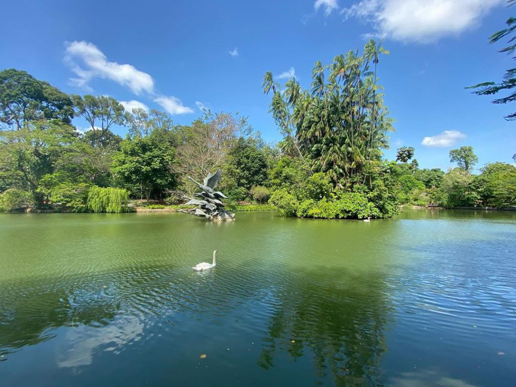 Singapore Botanic Garden, Strolling Through Endless Beauty, UNESCO’s World Heritage, Singapore Botanic Garden History, Swan Lake, Orchid Garden, Dining in Singapore Botanic Garden
