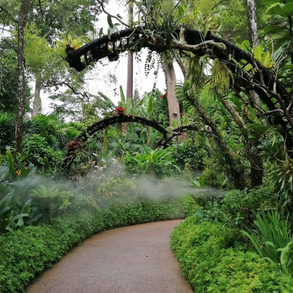 Singapore Botanic Garden, Strolling Through Endless Beauty, UNESCO’s World Heritage, Singapore Botanic Garden History, Swan Lake, Orchid Garden, Dining in Singapore Botanic Garden