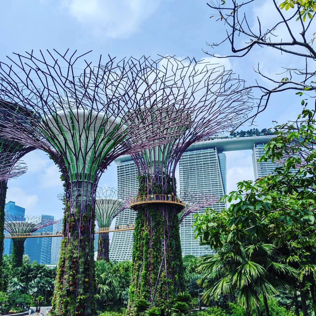 Singapore Botanic Garden, Strolling Through Endless Beauty, UNESCO’s World Heritage, Singapore Botanic Garden History, Swan Lake, Orchid Garden, Dining in Singapore Botanic Garden
