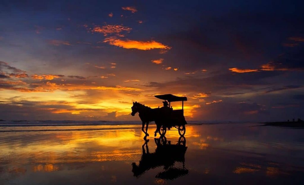 Pantai Parangtritis, Menikmati Keindahan Pantai Terbaik Yogyakarta