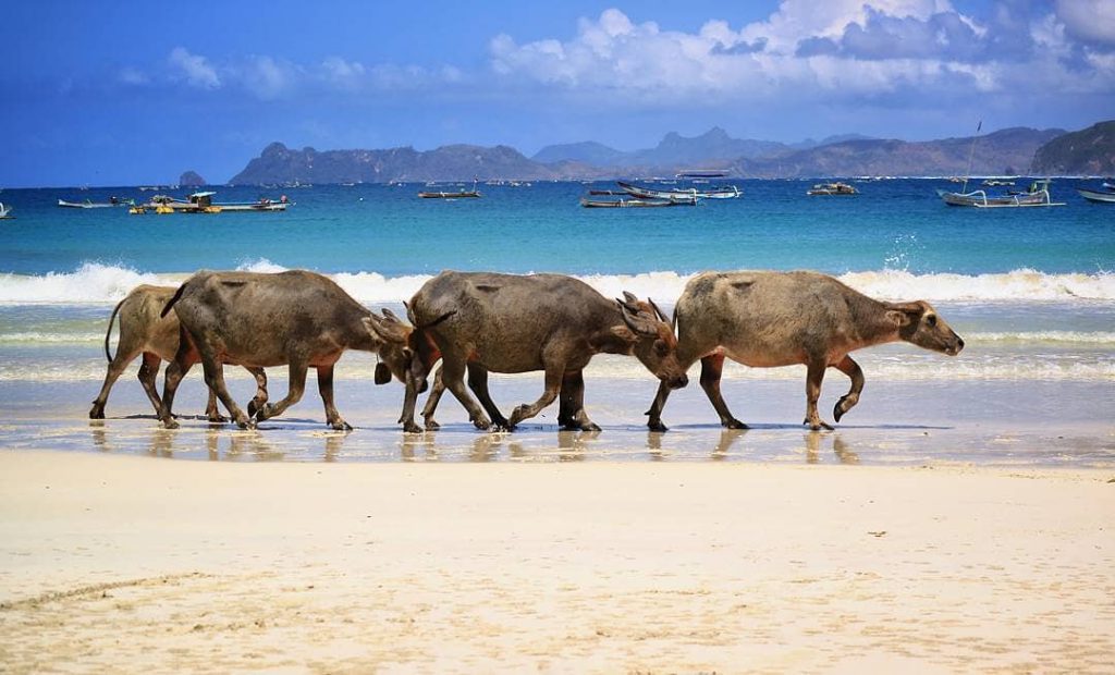 15 Destinasi Wisata Lombok yang Lagi Hits