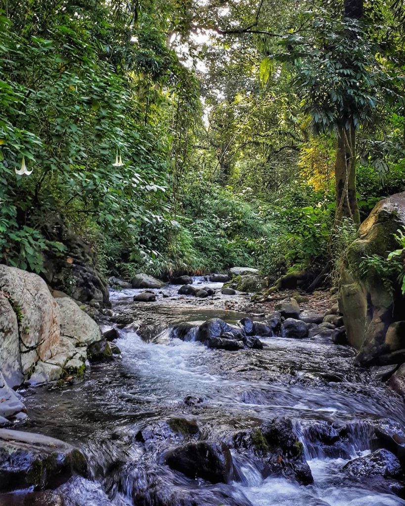 10 Tempat Wisata Banyuwangi Paling Mempesona