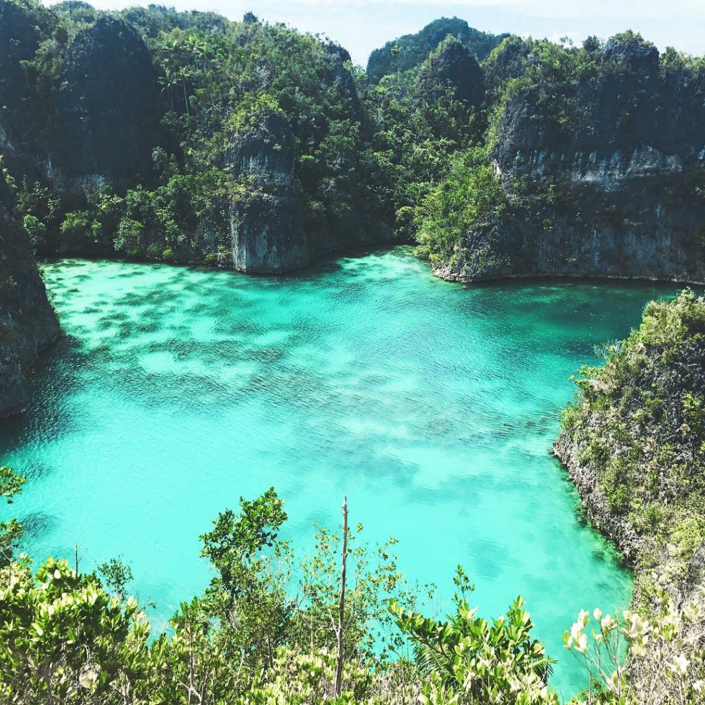 Raja Ampat,  Surga Tersembunyi di Ujung Timur Indonesia