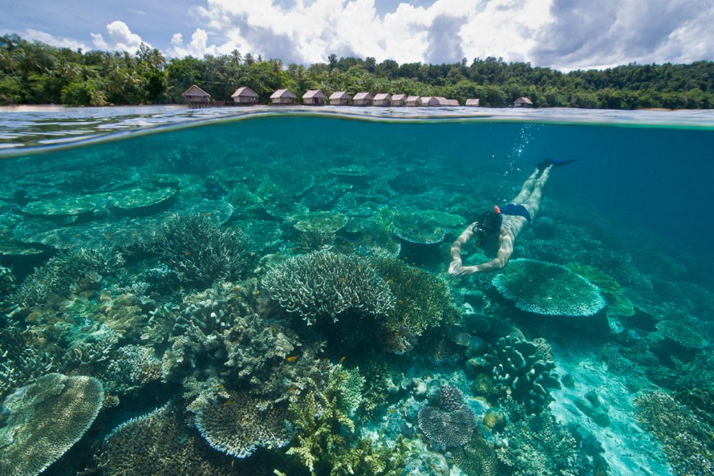 80+ Gambar Pemandangan Alam di Indonesia yang Paling indah