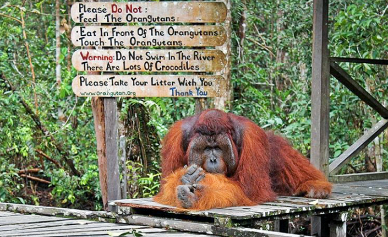 12 Tempat Wisata Terbaik di Indonesia yang Mendunia