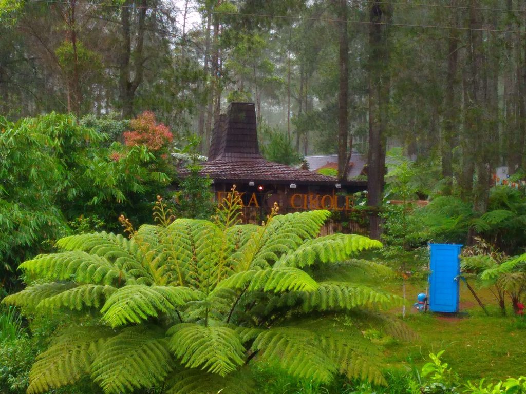 10 Tempat Glamping di Bandung Untuk Liburan Terbaik