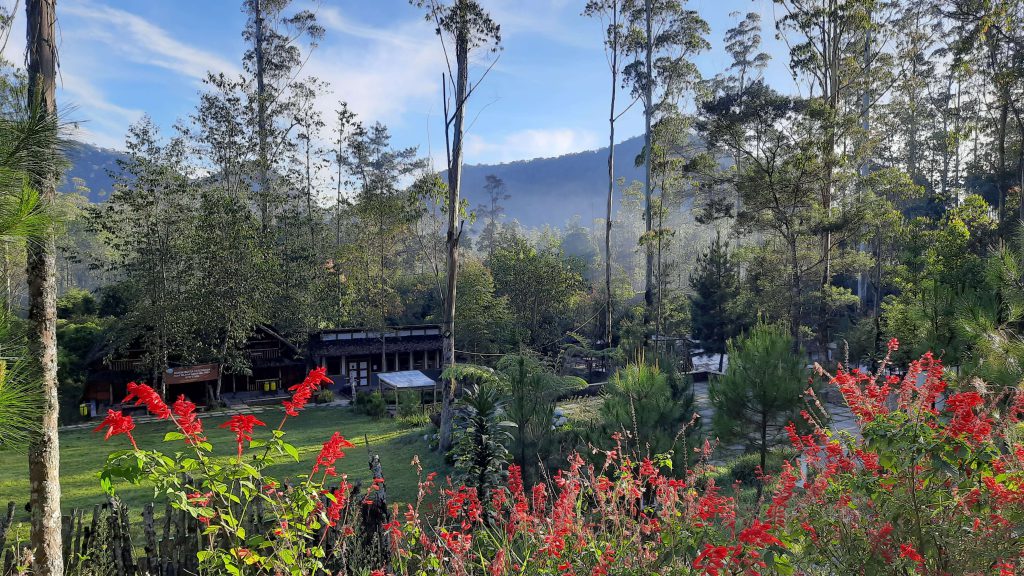 10 Tempat Glamping di Bandung Untuk Liburan Terbaik