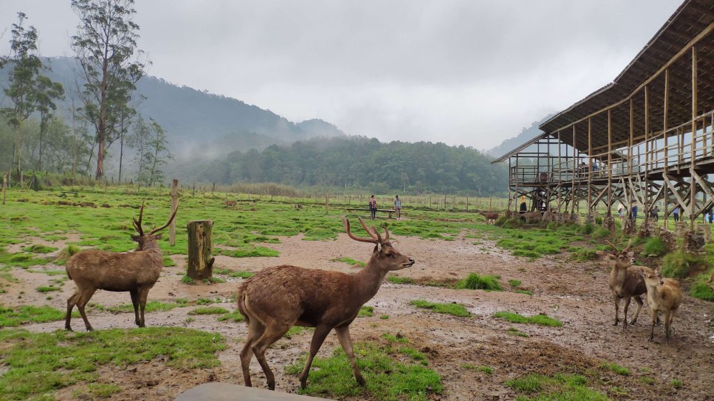40 Tempat Wisata di Bandung yang Wajib dikunjungi 2025