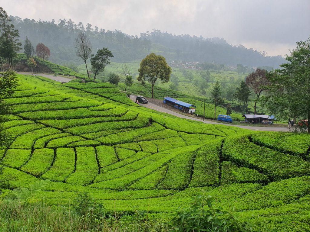 40 Tempat Wisata di Bandung yang Wajib dikunjungi 2025
