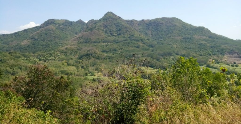 17 Tempat Wisata di Kediri yang Lagi Hits Terbaru 2025