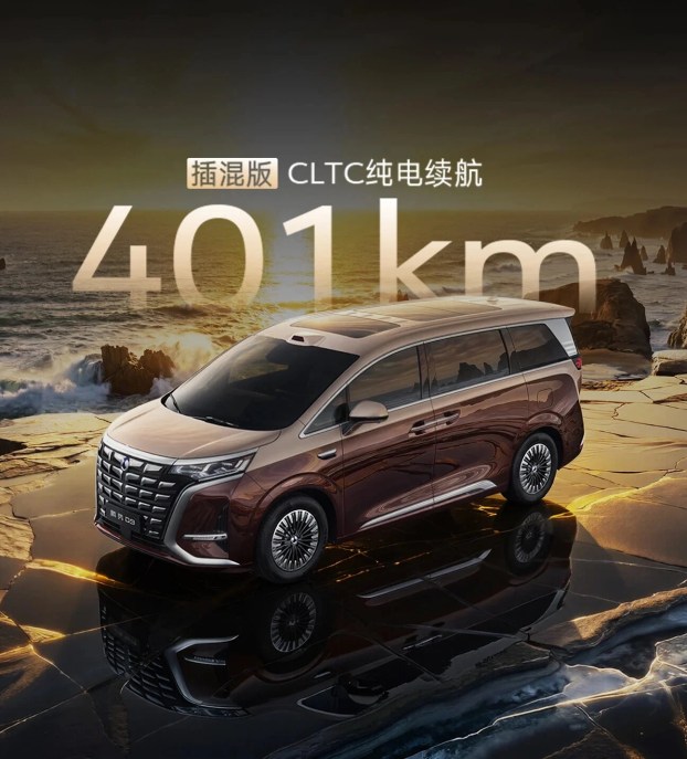 2026 Denza D9 China 14