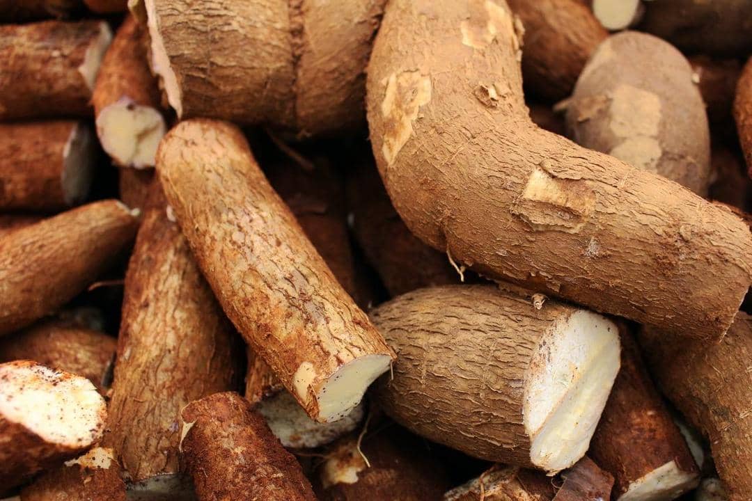 Bahan-bahan untuk membuat keripik singkong rasa original, Cara membuat keripik singkong rasa original, Bahan-bahan untuk membuat keripik singkong rasa balado, Cara membuat keripik singkong rasa balado