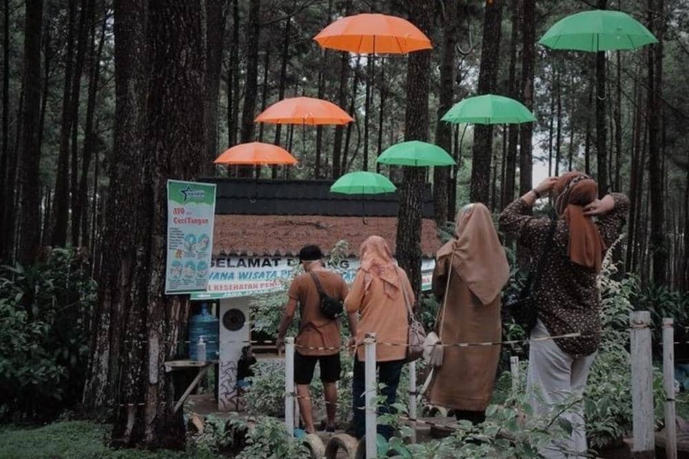 Instagram.com / jamalcov, 1. Lokasi dan jam operasional, 2. Rute menuju Wana Wisata Prabalintang, 3. Aktivitas seru di Wana Wisata Prabanlintang, 4. HTM dan fasilitas yang tersedia, 5. Tips berkunjung ke Wana Wisata Prabalintang