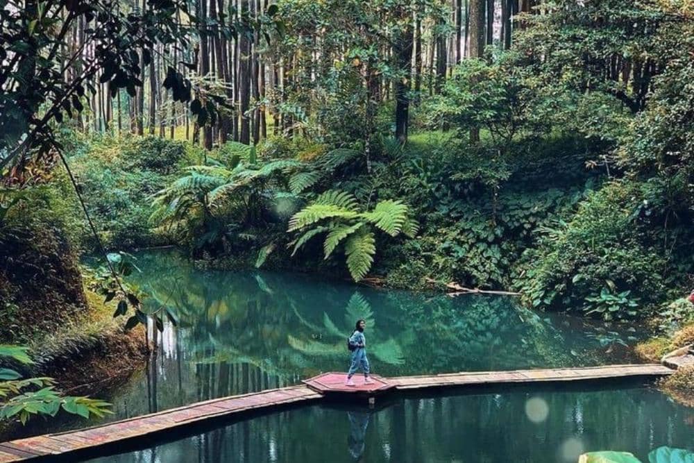 Instagram.com / ayodolan, 1. Lokasi dan jam operasional, 2. Rute menuju Wana Wisata Prabalintang, 3. Aktivitas seru di Wana Wisata Prabanlintang, 4. HTM dan fasilitas yang tersedia, 5. Tips berkunjung ke Wana Wisata Prabalintang