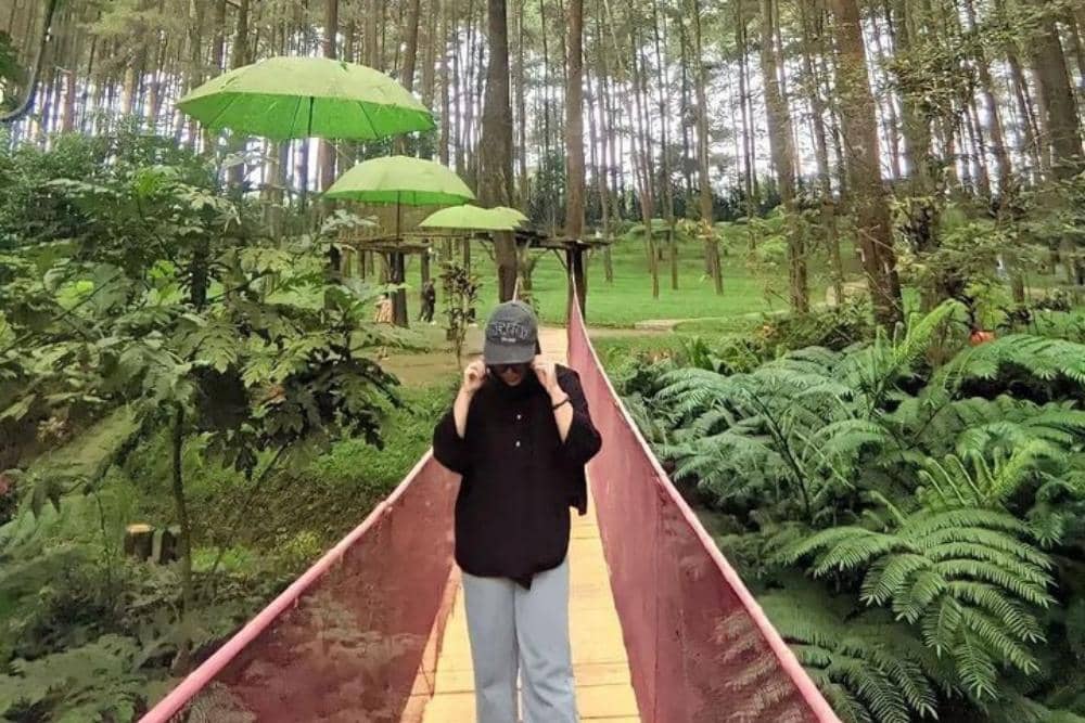 Instagram.com / kelilingtegal, 1. Lokasi dan jam operasional, 2. Rute menuju Wana Wisata Prabalintang, 3. Aktivitas seru di Wana Wisata Prabanlintang, 4. HTM dan fasilitas yang tersedia, 5. Tips berkunjung ke Wana Wisata Prabalintang