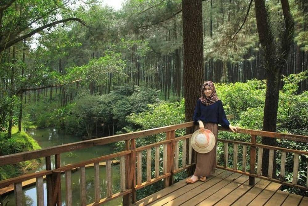 Instagram.com / hanifah.15, 1. Lokasi dan jam operasional, 2. Rute menuju Wana Wisata Prabalintang, 3. Aktivitas seru di Wana Wisata Prabanlintang, 4. HTM dan fasilitas yang tersedia, 5. Tips berkunjung ke Wana Wisata Prabalintang