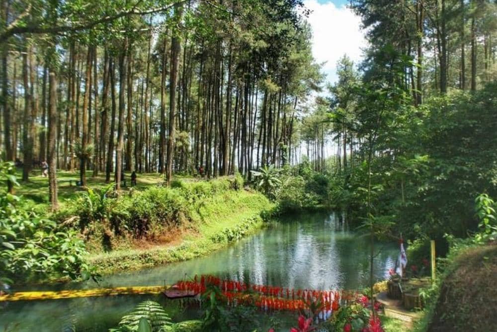 Instagram.com / da.photo007, 1. Lokasi dan jam operasional, 2. Rute menuju Wana Wisata Prabalintang, 3. Aktivitas seru di Wana Wisata Prabanlintang, 4. HTM dan fasilitas yang tersedia, 5. Tips berkunjung ke Wana Wisata Prabalintang