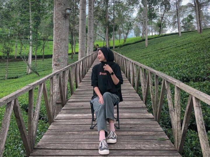Instagram.com / kebuntehpanama, Lokasi Kebun Teh Panama, Jam buka dan harga tiket masuk Kebun Teh Panama, Rute menuju Kebun Teh Panama, Aktivitas seru dan fasilitas di Kebun Teh Panama, Spot foto ciamik di Kebun Teh Panama
