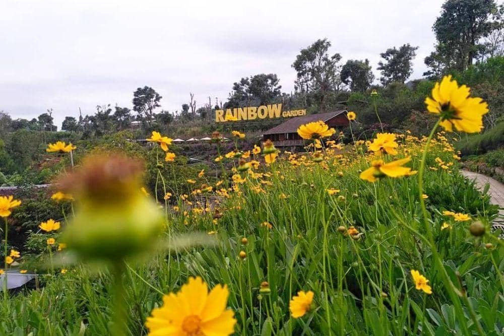 instagram.com/rainbowgarden_lembang